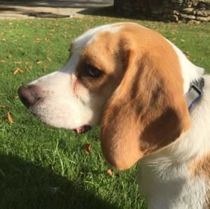 Meet your Posher, Zoe